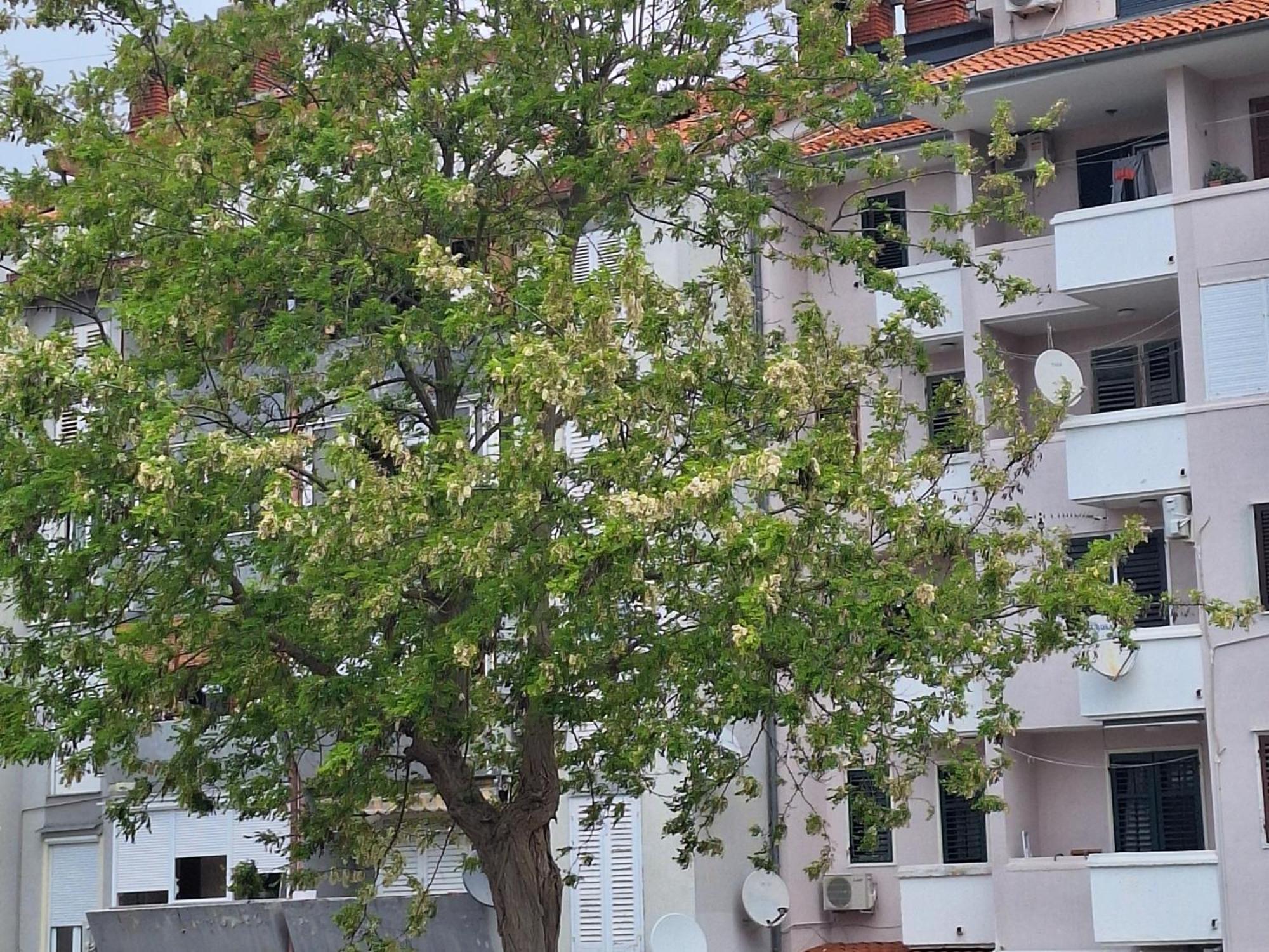 Cozy * Rovinj